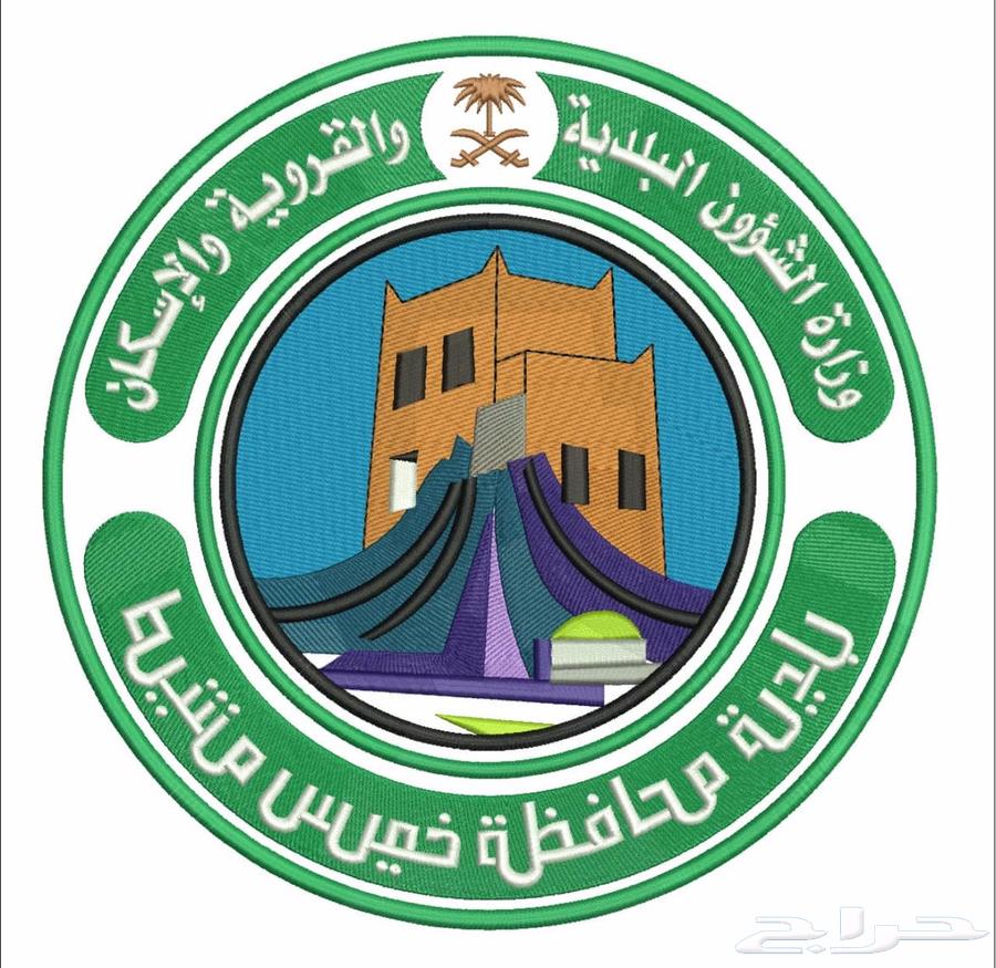 مؤسسة حكومية