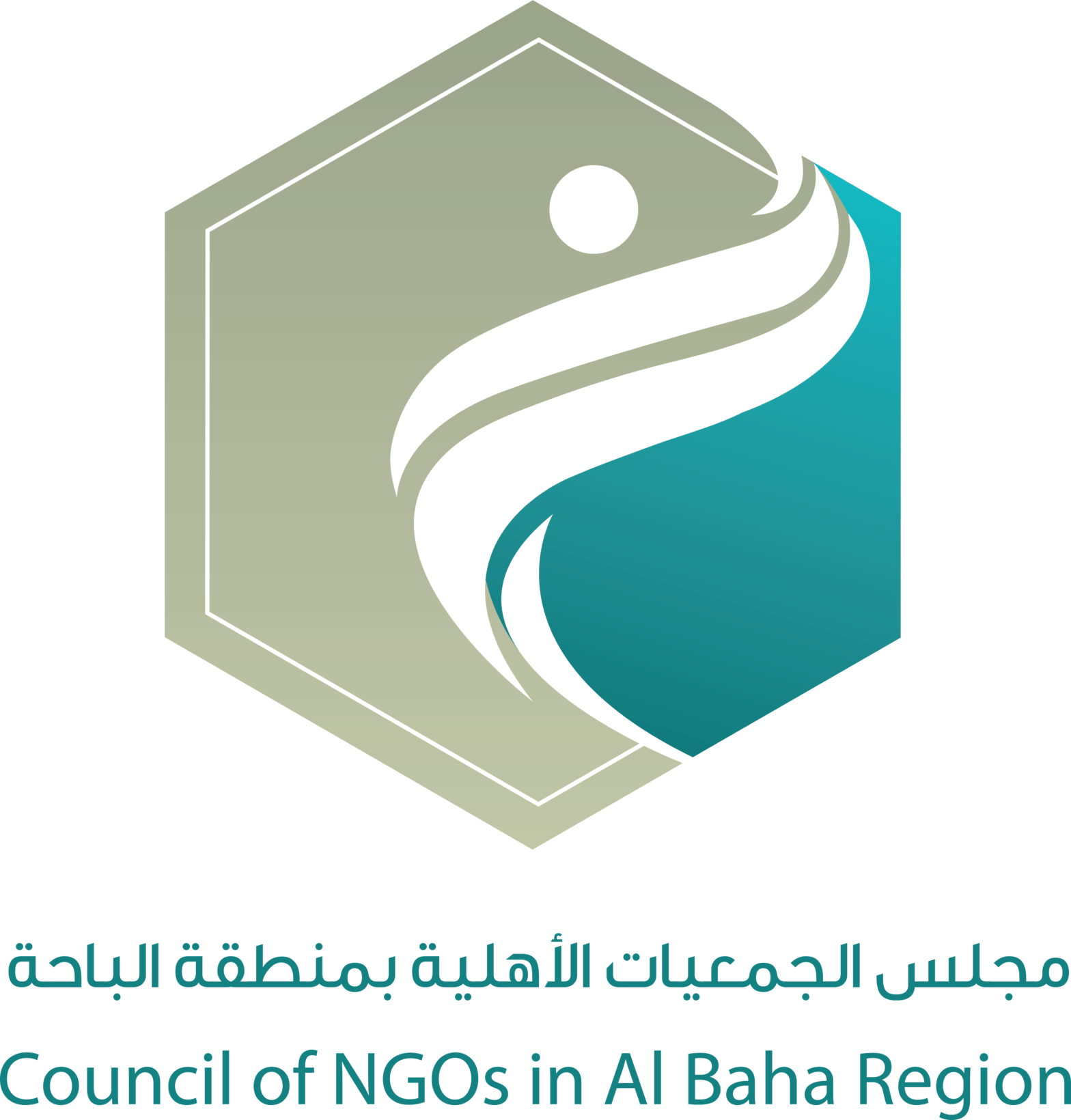 مجلس الجمعيات الأهلية